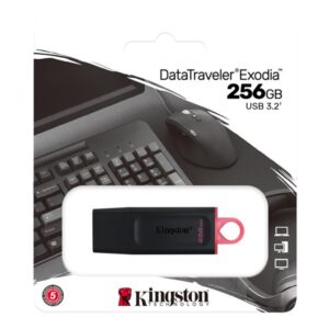 Kingston DataTraveler Exode - clé USB - 256Go